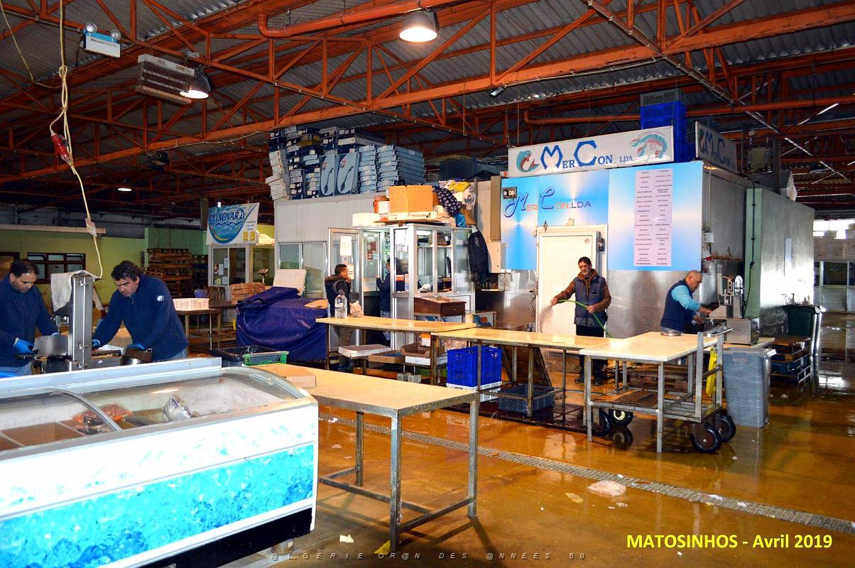 0567 Porto Matosinhos.jpg